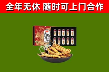 涧西区烟酒回收冬虫夏草礼盒.jpg