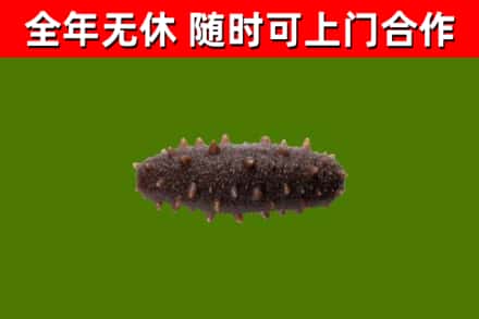 涧西区烟酒回收干海参.jpg